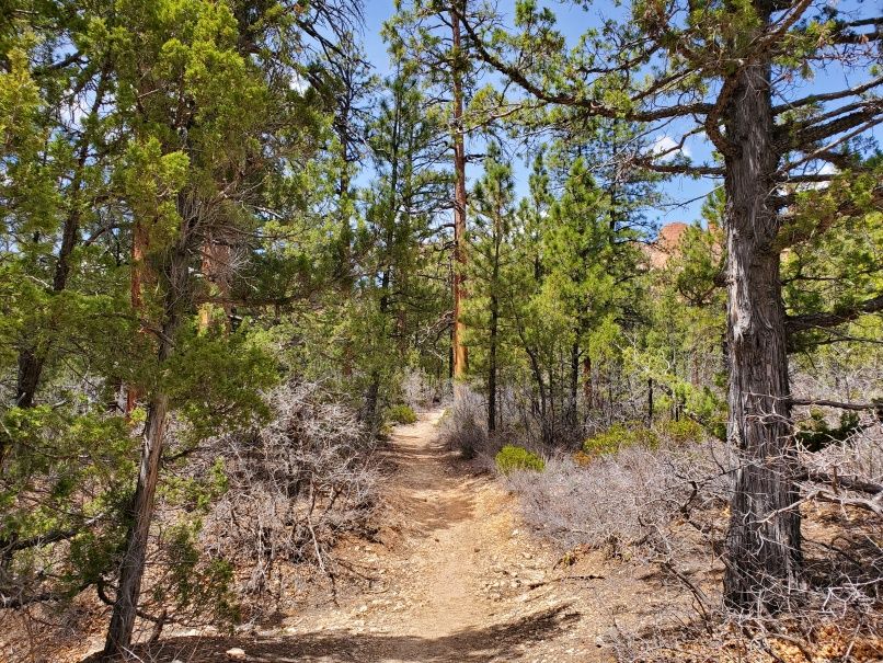 Heading up to the Rim