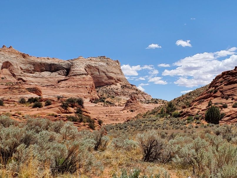 Sagebrush and Red Rock