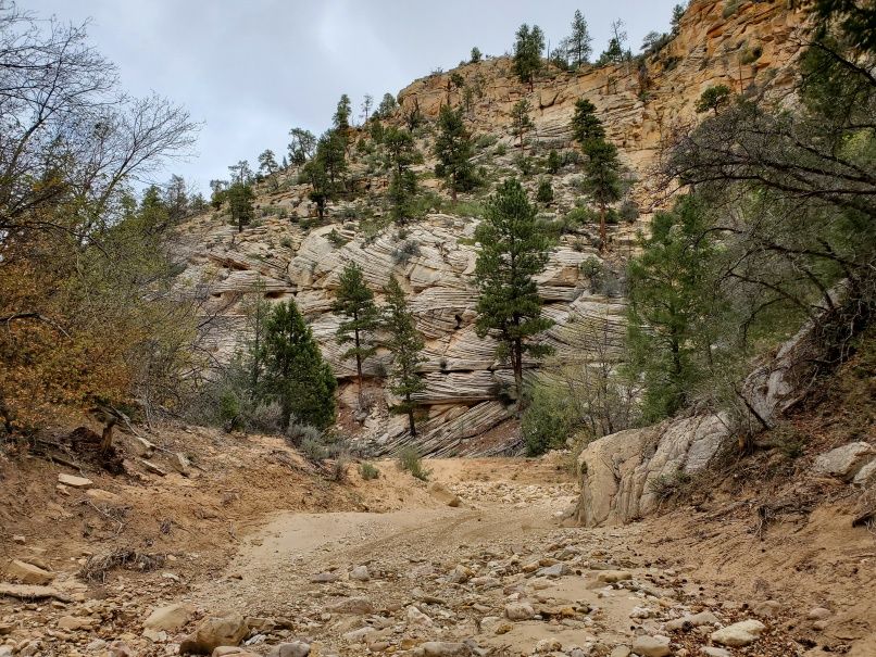 Swirly Rocks Bullrush Gorge