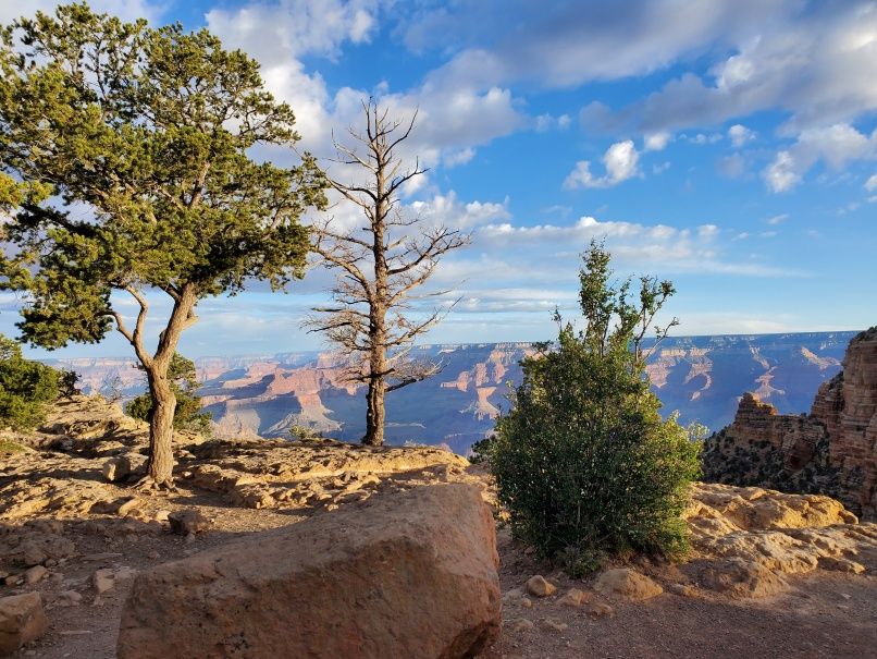 Canyon view from So. Kaibab