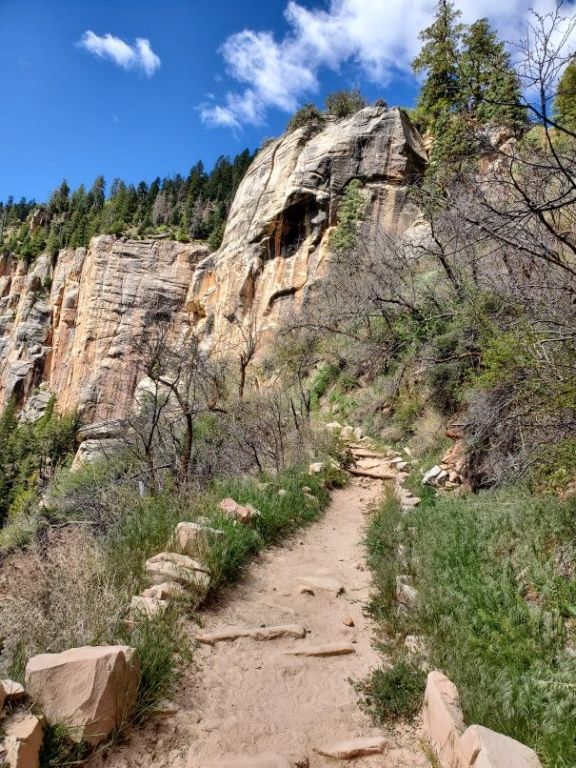 Sunny trail up the Coconino