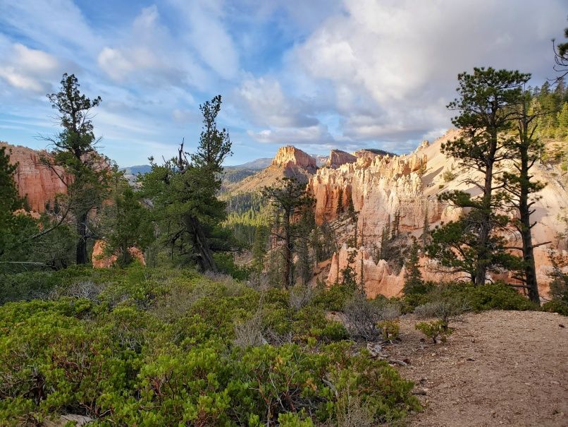Early morning light Swamp Canyon
