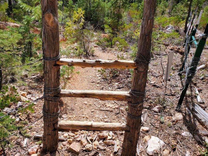 Ladder Gate