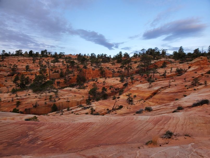 Morning walking the Slick Rock