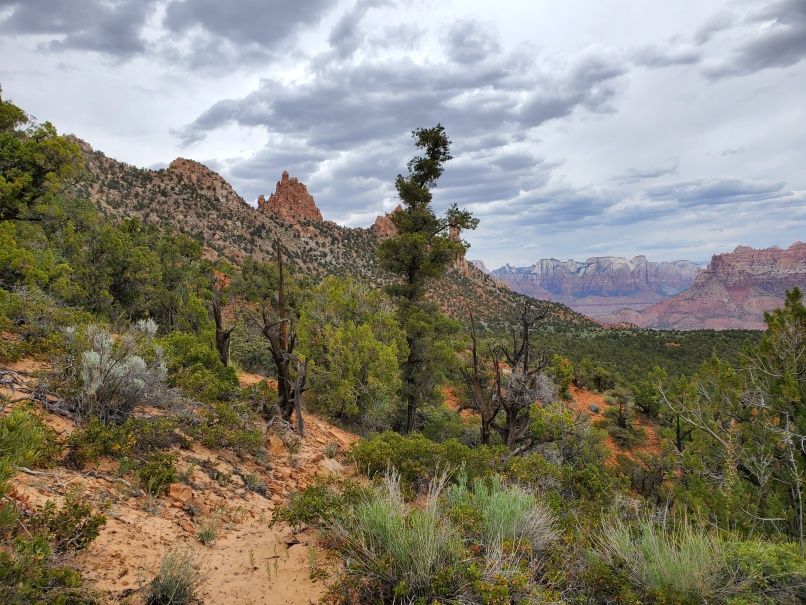 Eagle Crag Trail
