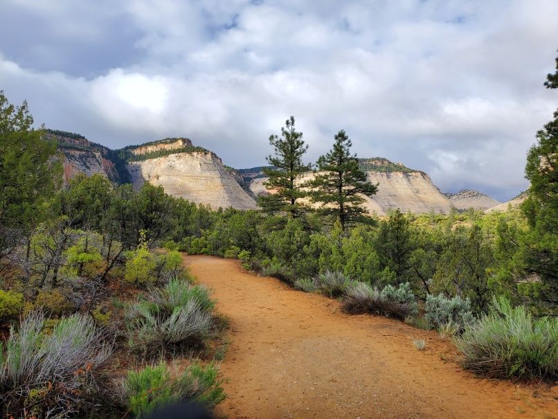 Sun breaks through on East Rim Trail