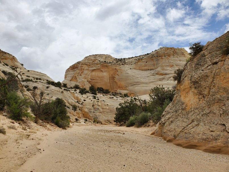 RVD gives way to Hackberry Canyon