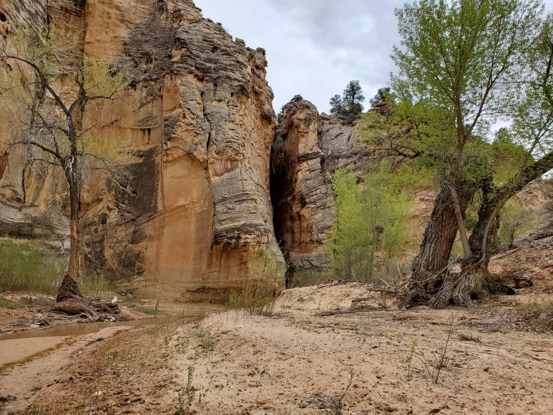 Creek in Hackberry Canyon