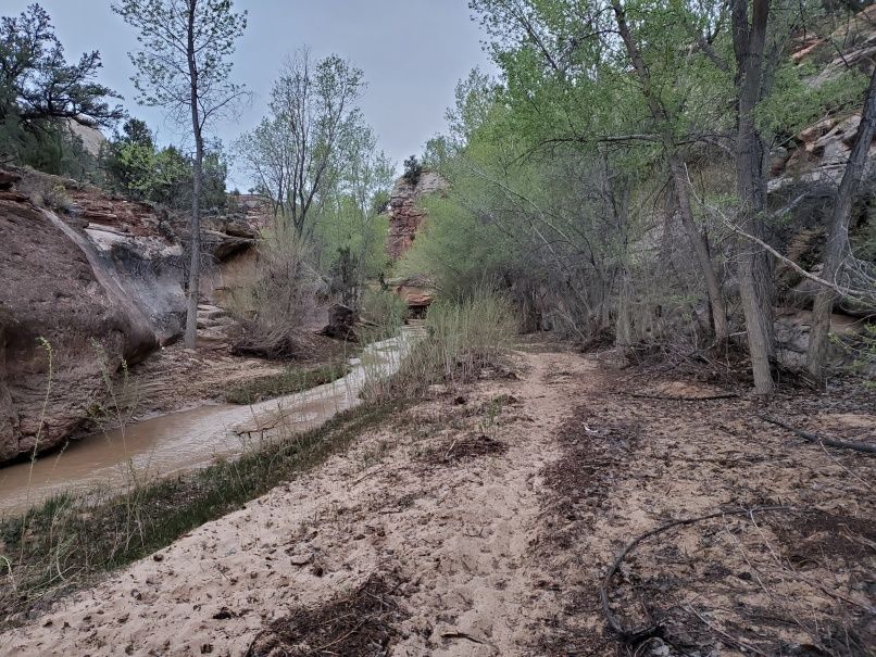 Middle Hackberry Canyon
