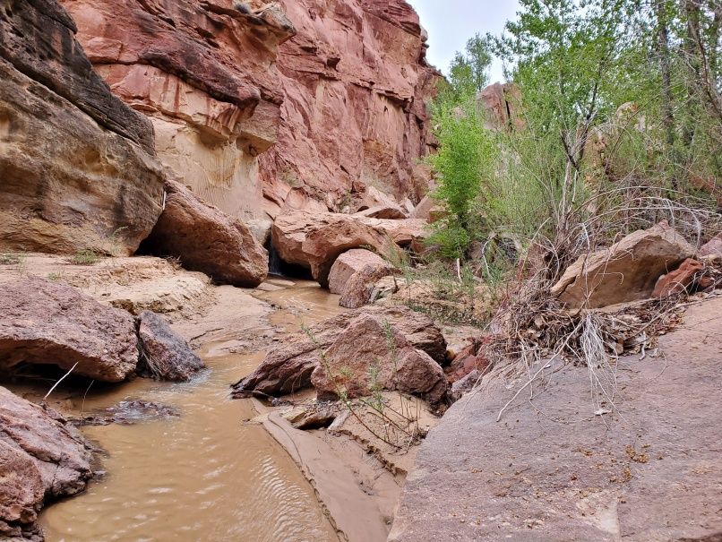 Lower Hackberry Canyon