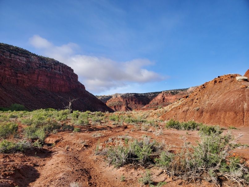 Hackberry Canyon vista