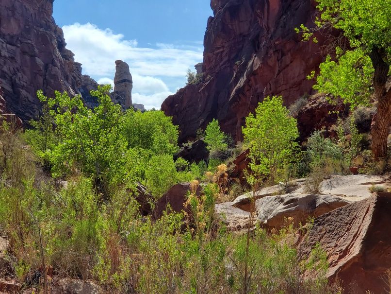 Towering Rock Lower Hackberry