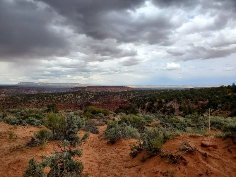 View of Vermillion Cliffs from Plateau